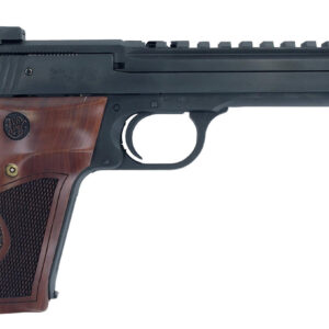 Smith & Wesson 41 Performance Center 22 LR, 5.5" Barrel, Blued Frame, Wood Grip, 10rd